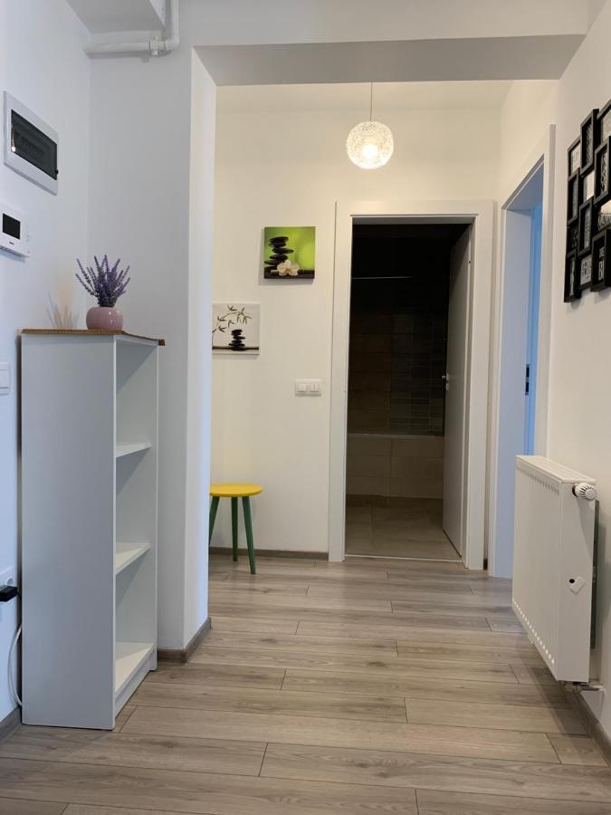 דירות Târgu-Mureş Apartament Sara מראה חיצוני תמונה